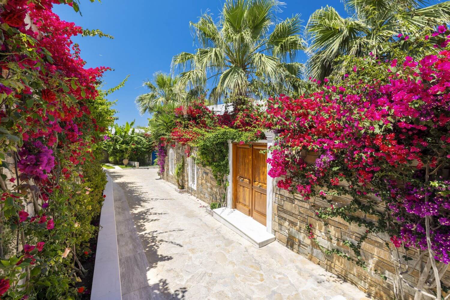 porto-zante-familienluxusreisen-weg