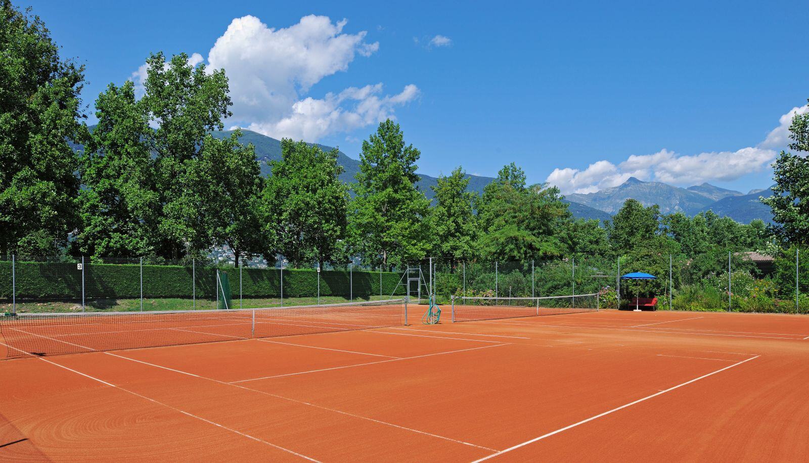 Tennisplatz umgeben von Bäumen.