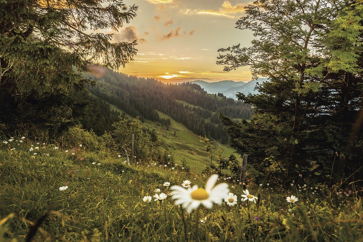 grand-resort-bad-ragaz-schweiz-familienluxusreisen-thefamilyproject-blumenwiese