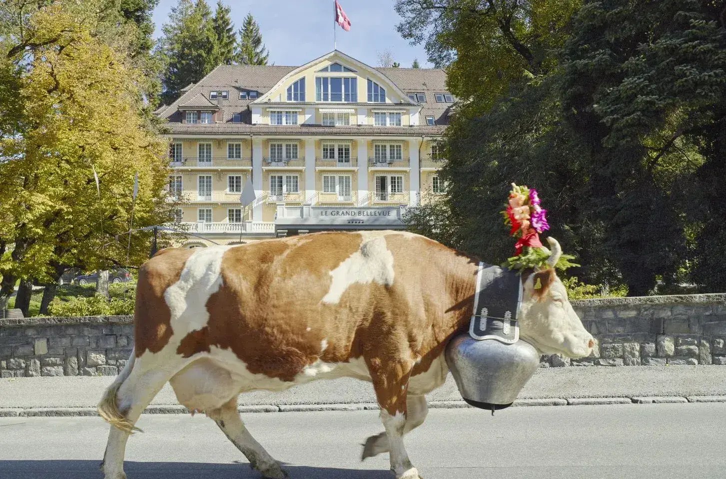 le-grand-bellevue-1