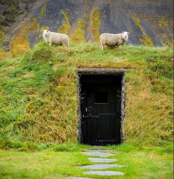 Deplar Farm ioe-1
