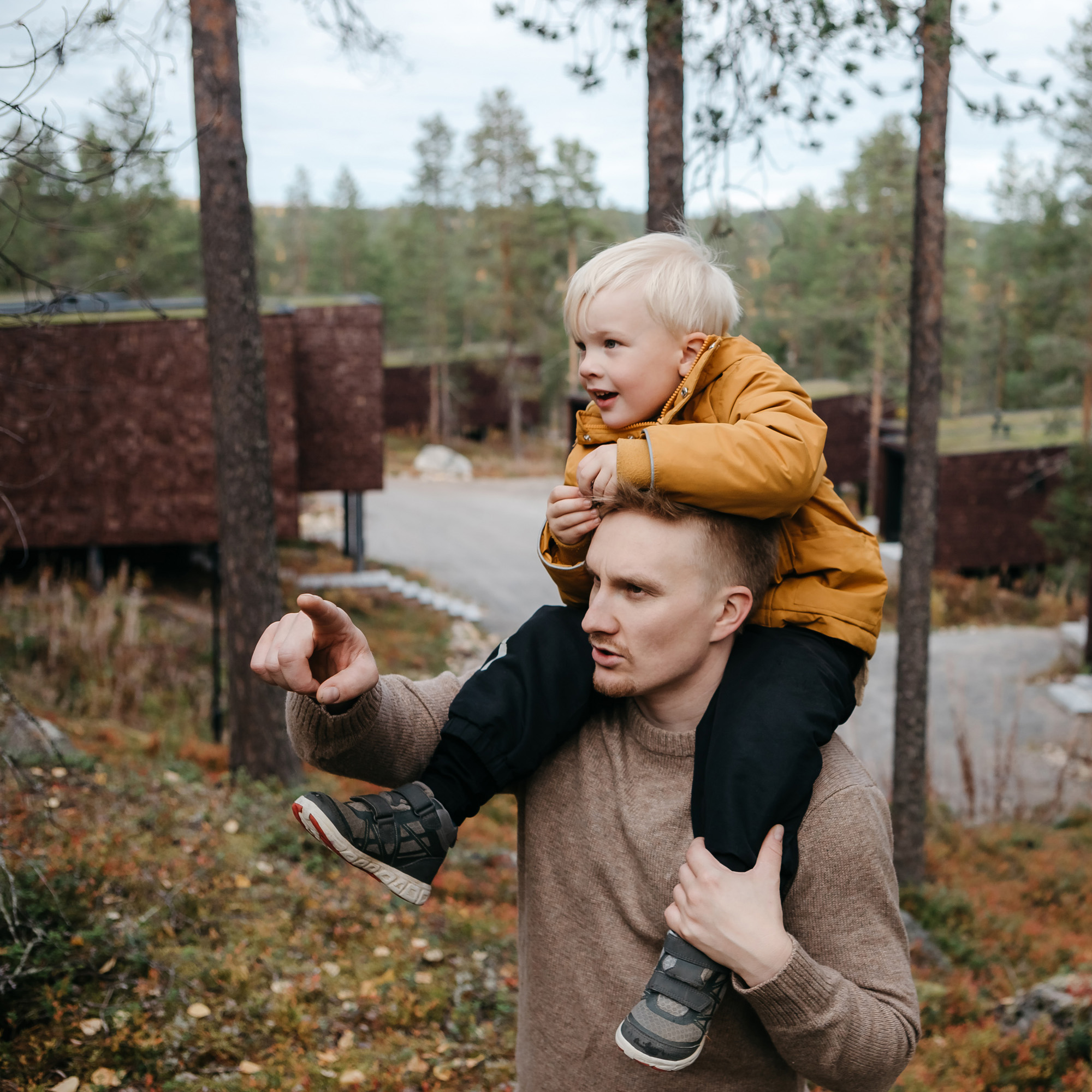 arctic-treehouse-hotel-finnland-familienluxusreise-thefamilyproject-herbst-vaterundsohn