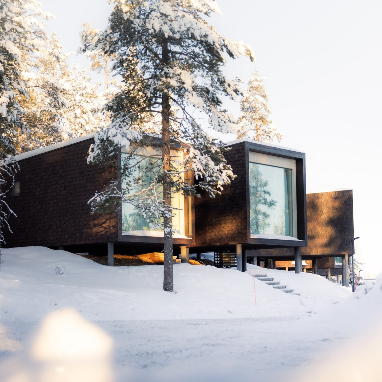 arctic-treehouse-hotel-finnland-familienluxusreise-thefamilyproject-suite-aussenansicht