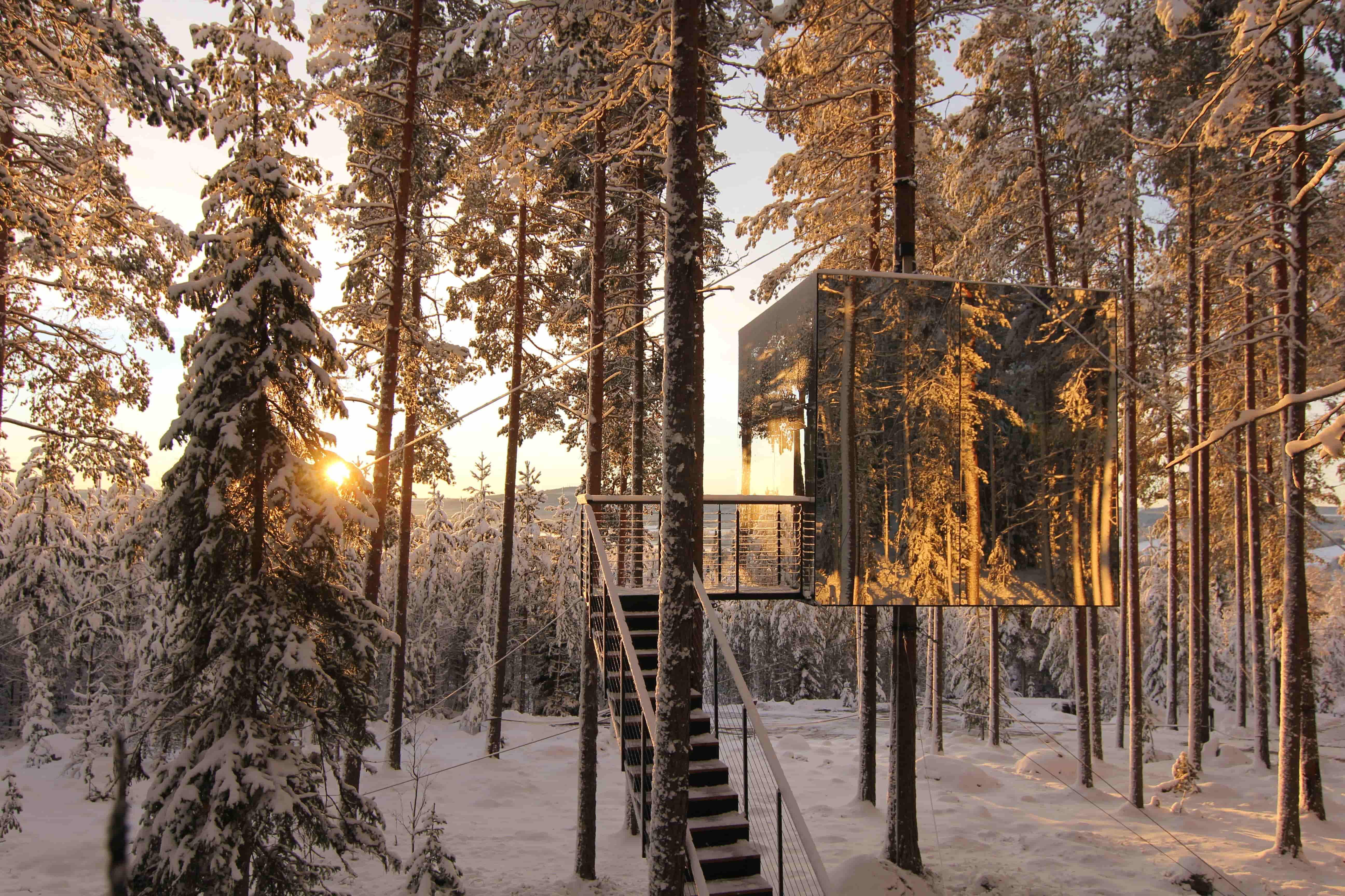 Sonnenaufgang aus winterlichem Wald