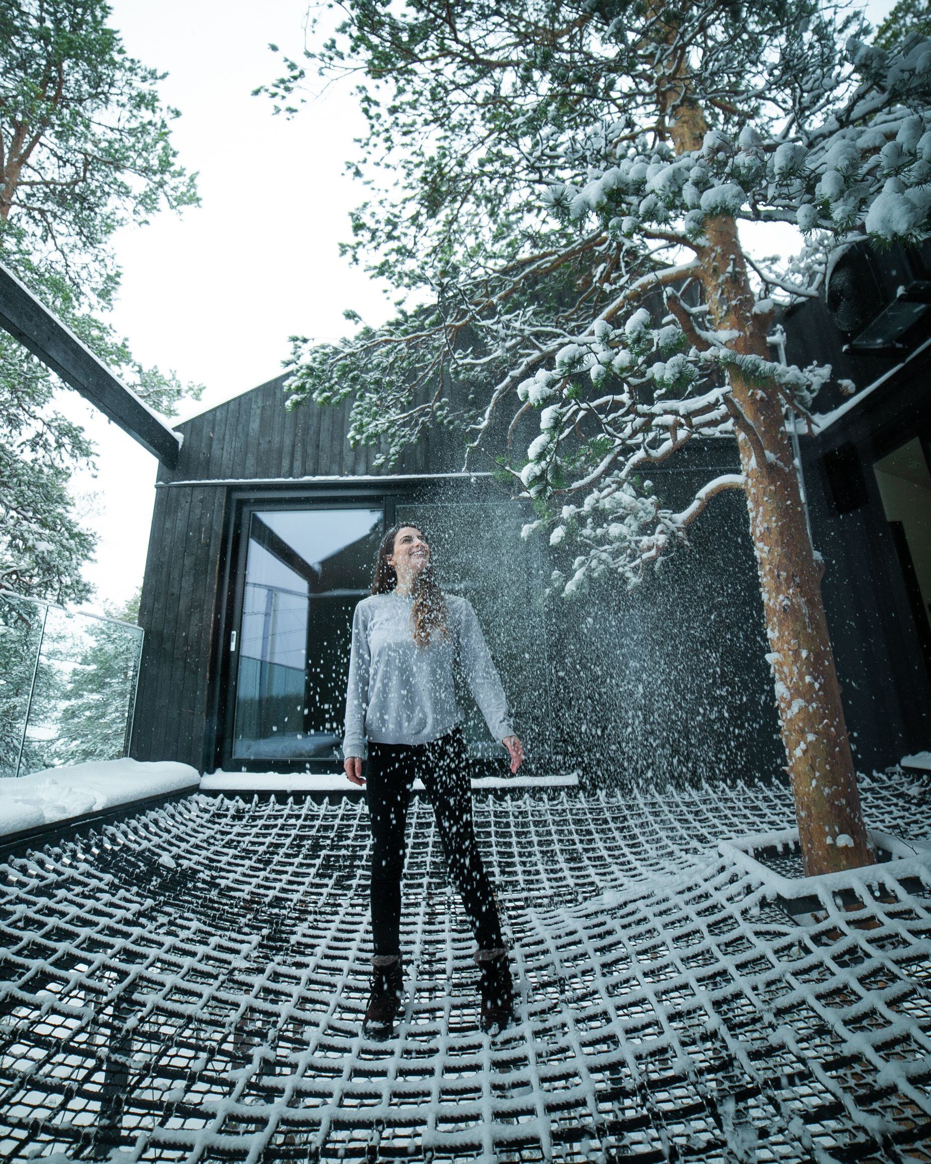 Treehotel in our eyes