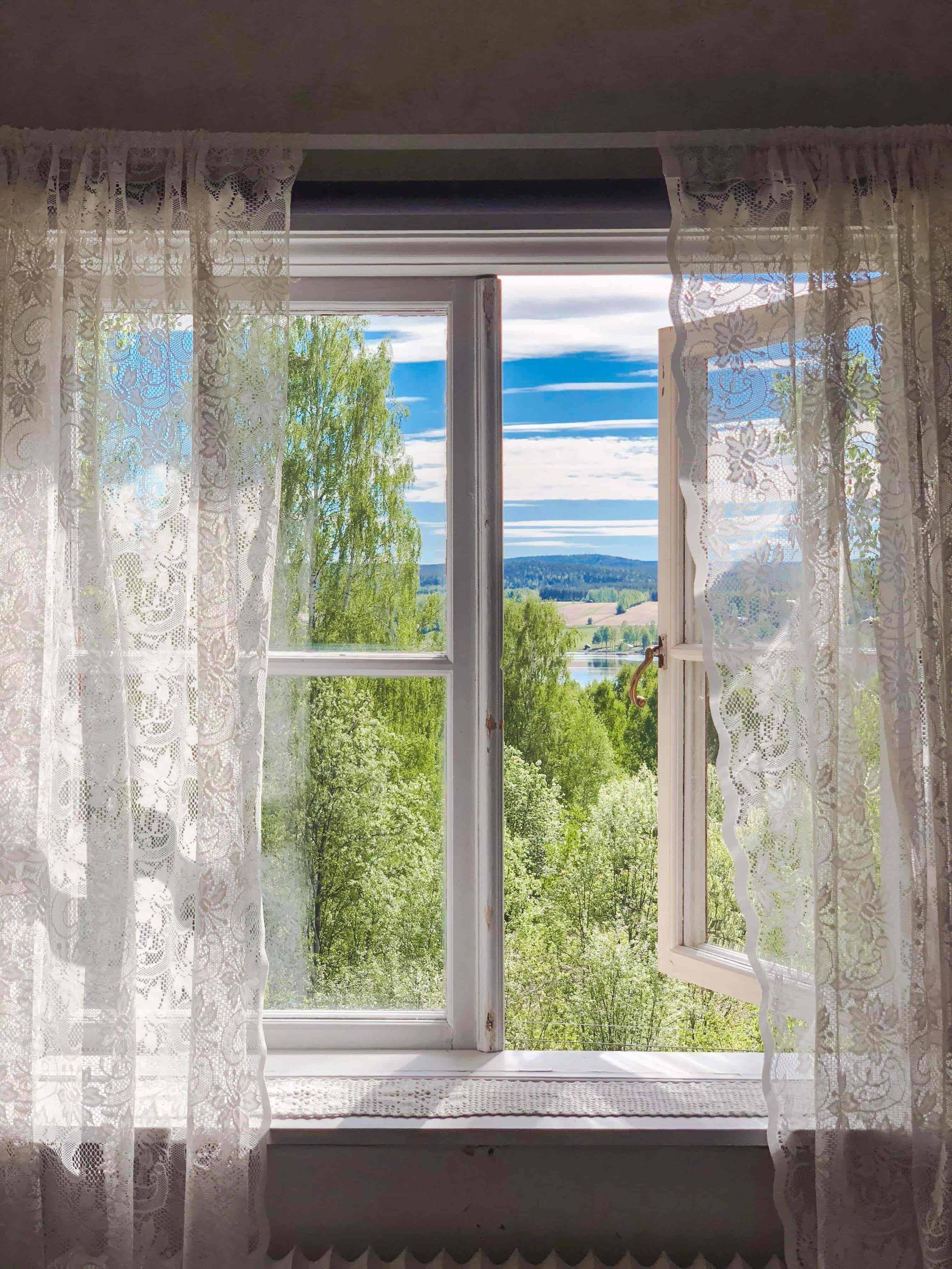 Treehotel Fenster