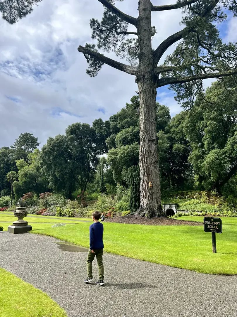 ashford castle p16