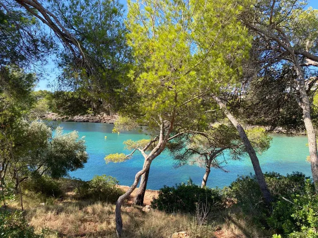 ikos porto petro privat8