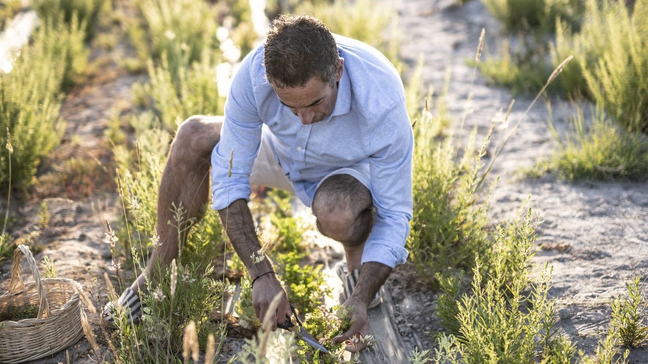 craveiral-farmhouse-portugal-familienluxusreisen-thefamilyproject-ernte