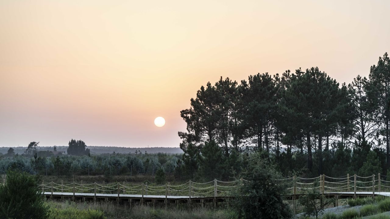 craveiral-farmhouse-portugal-familienluxusreisen-thefamilyproject-sonnenaufgang