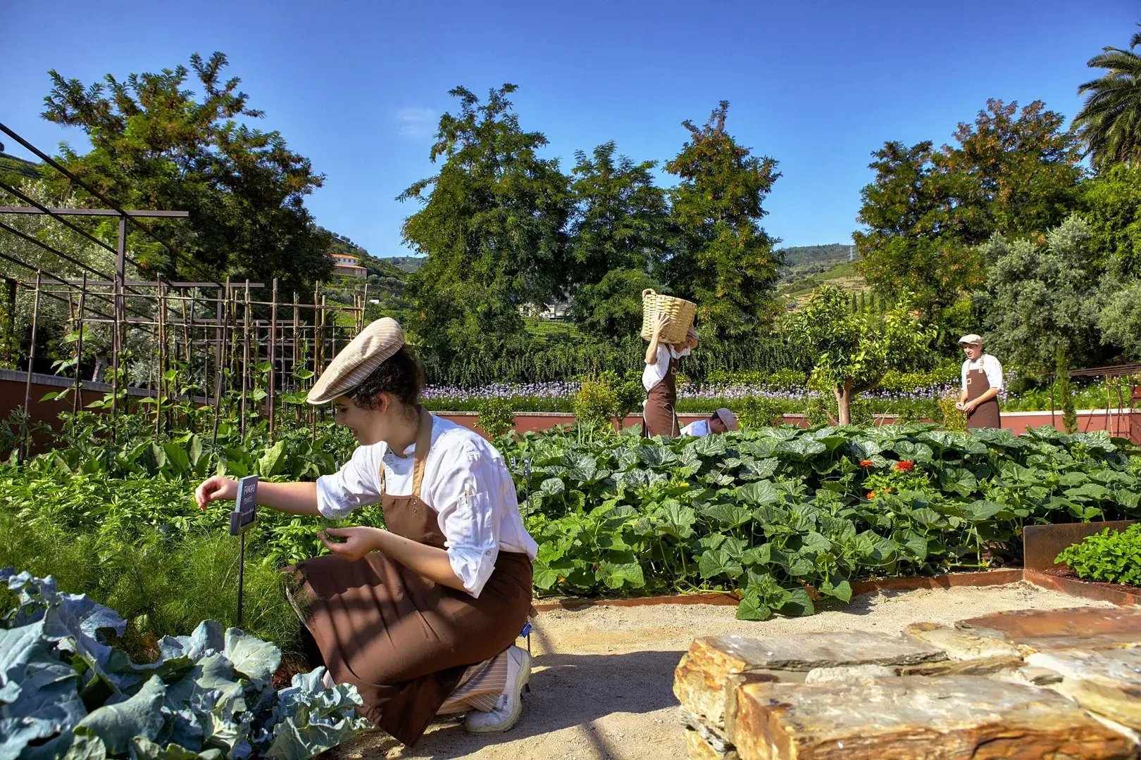 Garten des Hotels