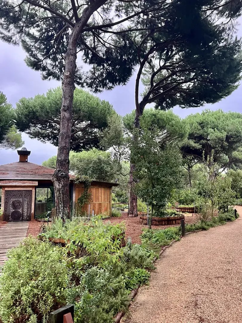 sublime-comporta-country-house-retreat-spa-grandola-portugal-privatbild23