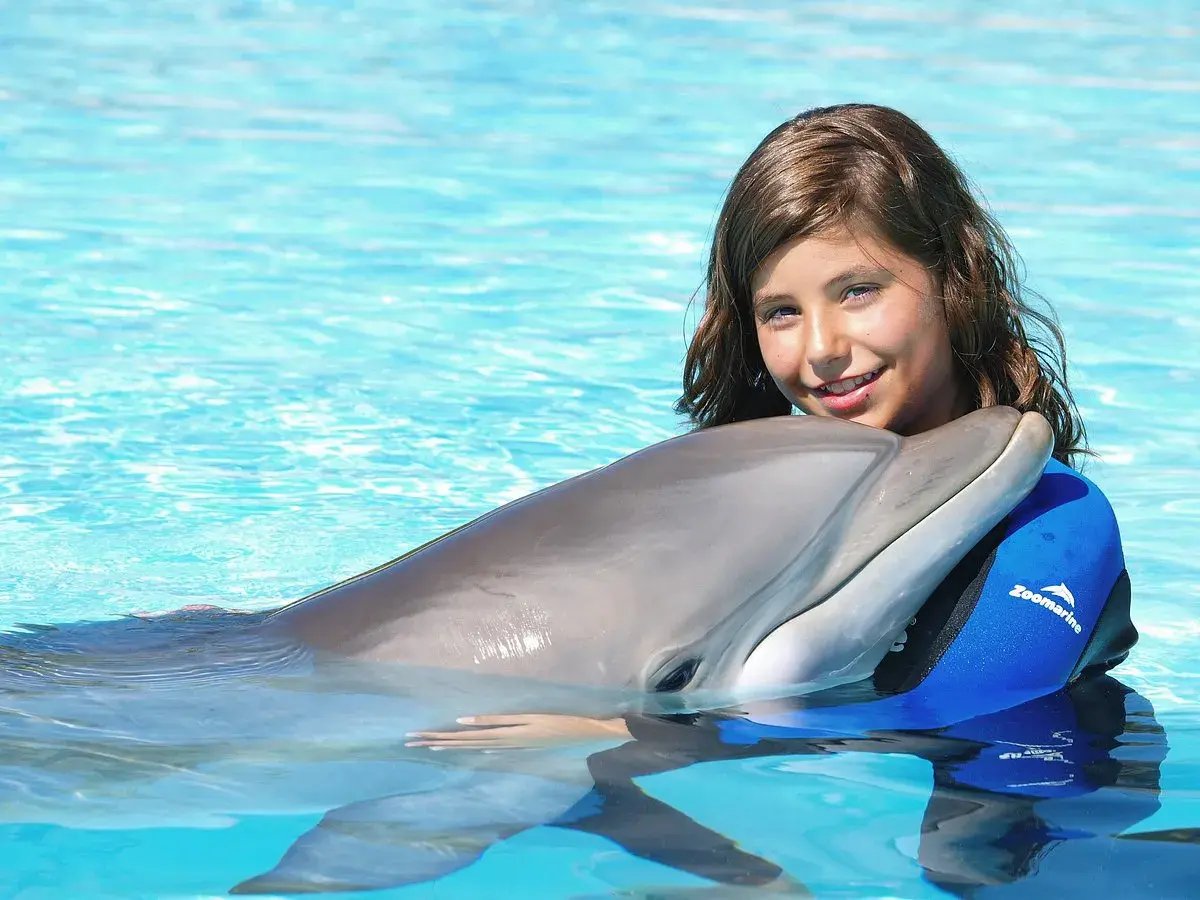 vila-vita-delfin
