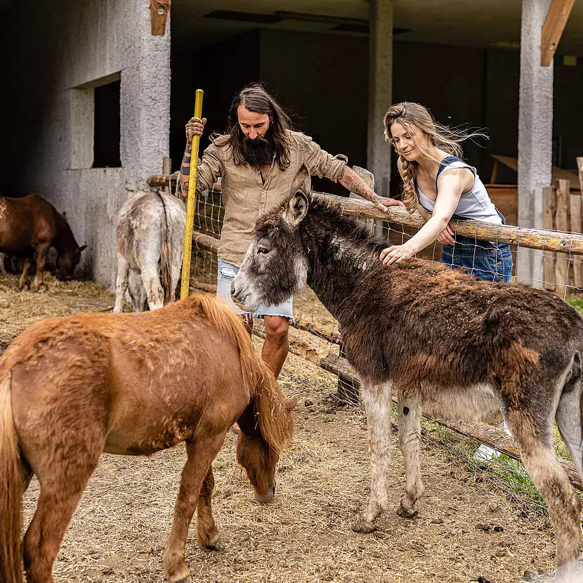 valsegg-chaletdorf-suedtirol-italien-familienluxusreisen-thefamilyproject-farm