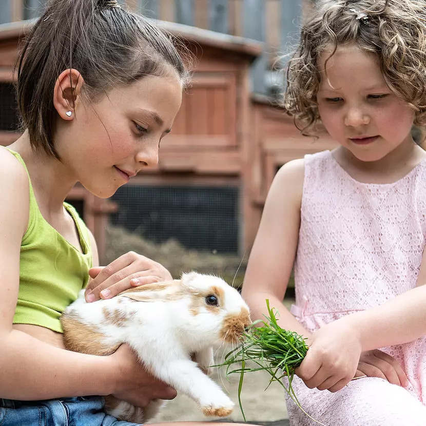 valsegg-chaletdorf-suedtirol-italien-familienluxusreisen-thefamilyproject-tiere