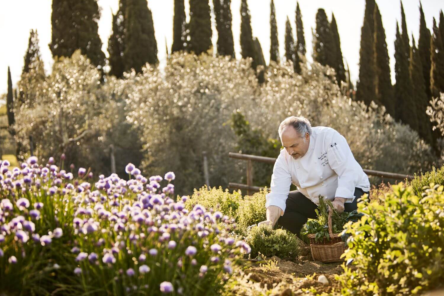 como-castello-del-nero-familienluxusreisen-garten-koch