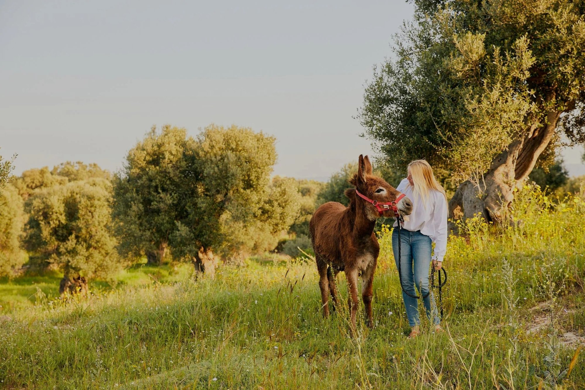 masseria-calderisi-italy-luxury-family-vacation-thefamilyproject-activities-donkeys
