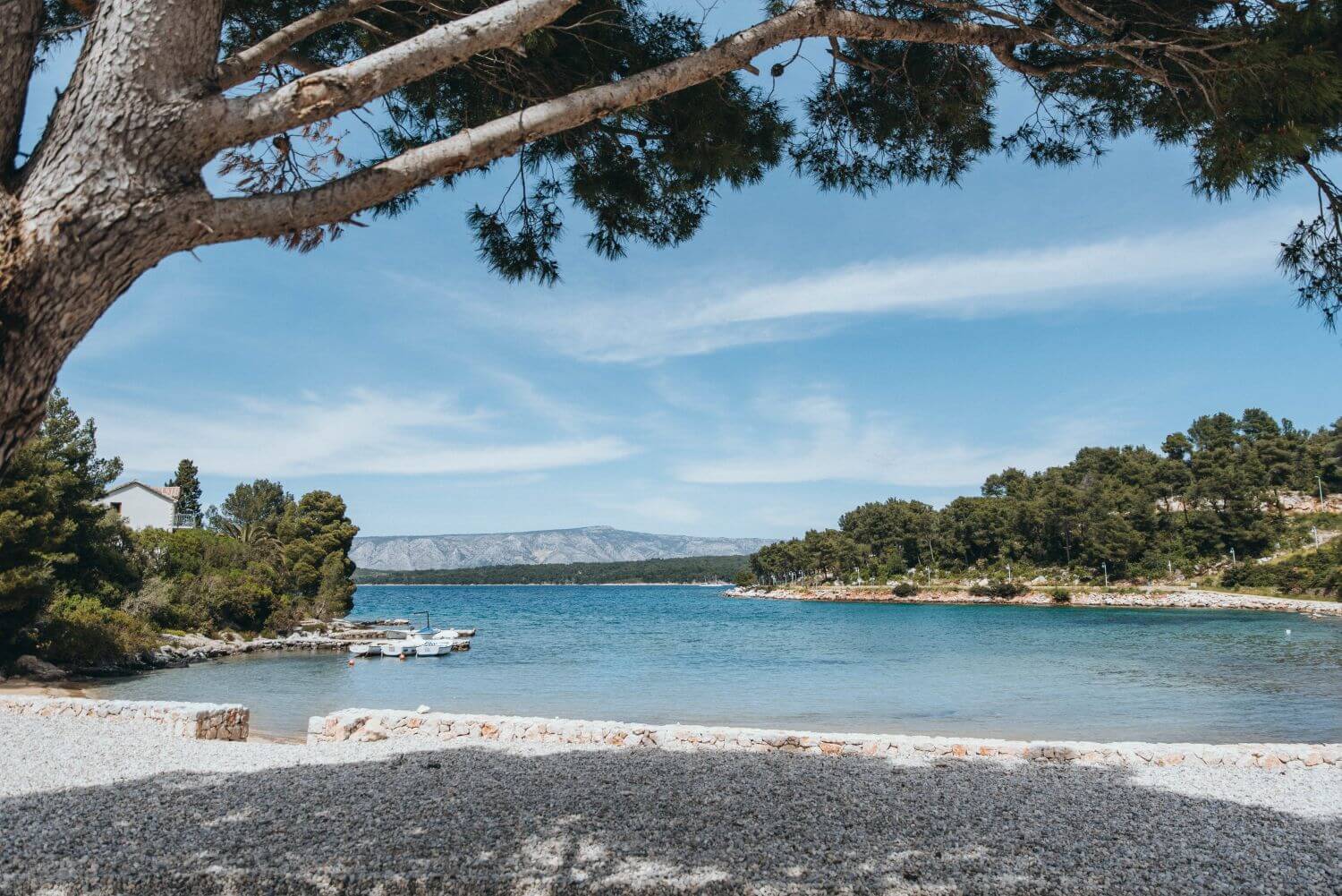 Bucht mit Kieselstrand und großem Baum.