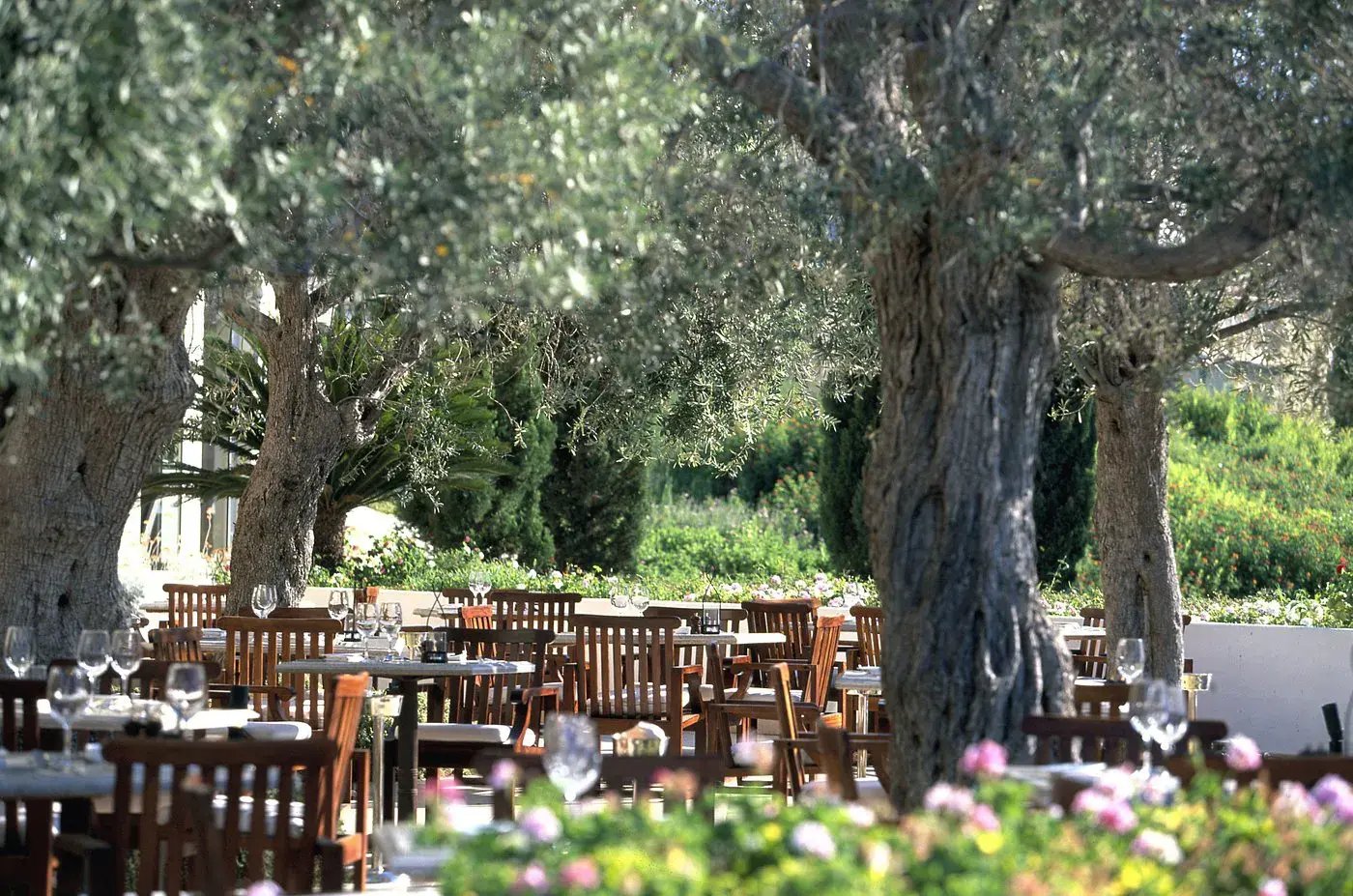 anassa-zypern-restaurant-luxurios-familiengeeignet
