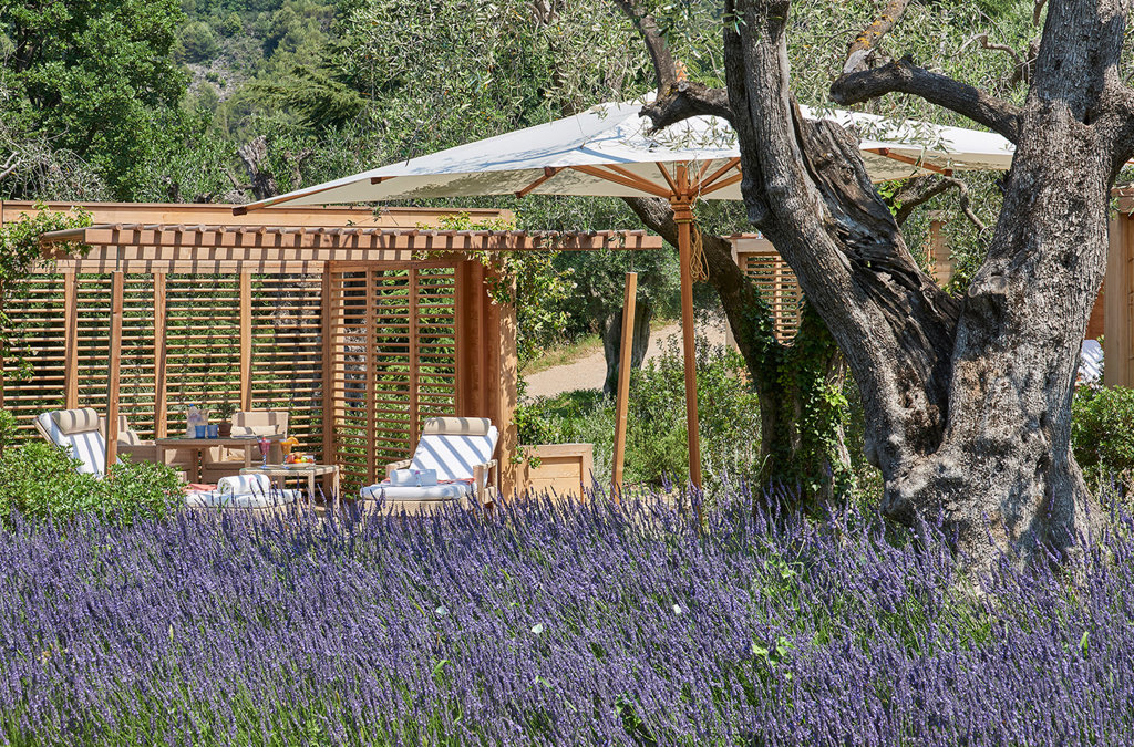 chateau-st-martin-vence-familienluxusreisen-garten2