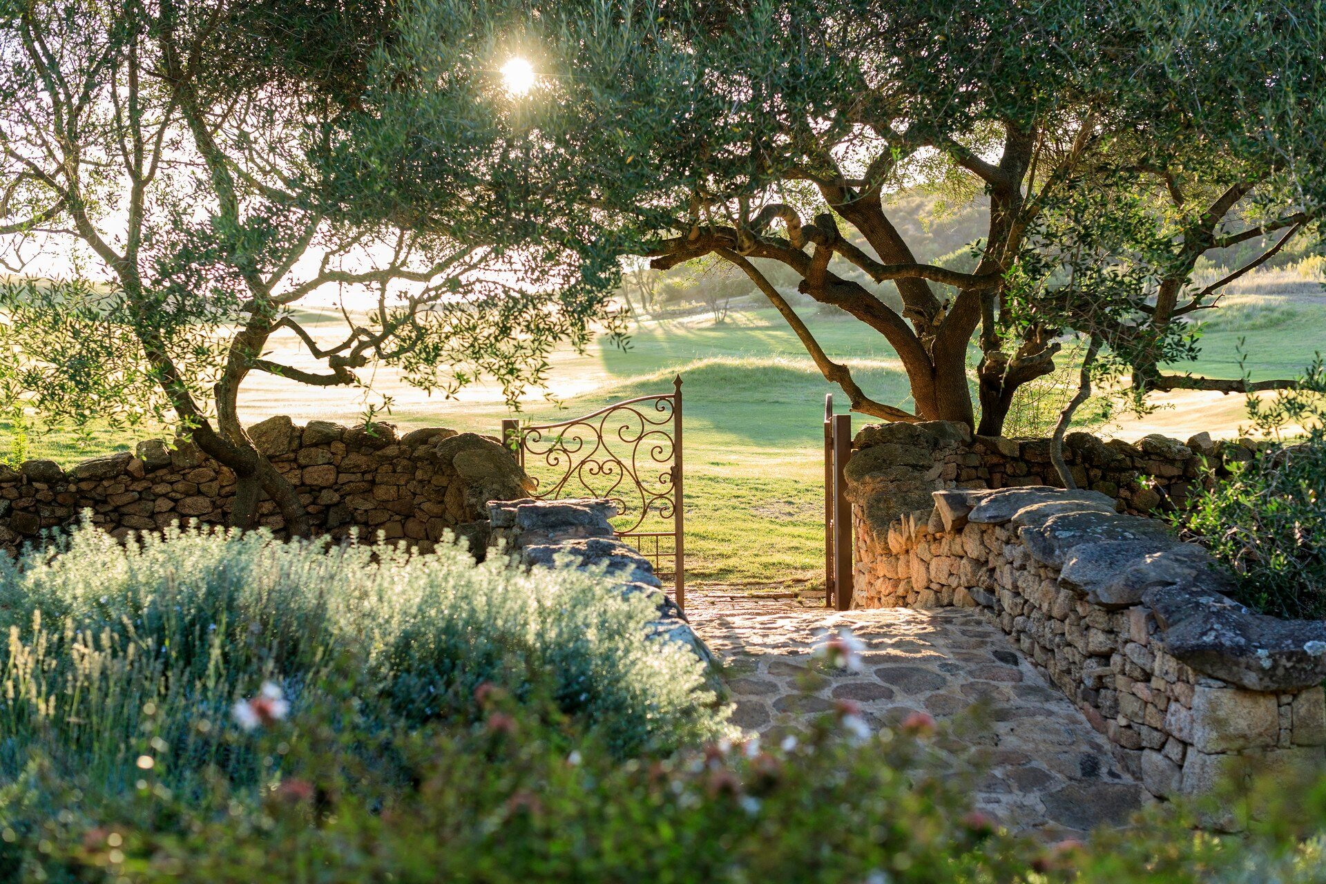 domain-de-murtoli-frankreich-familienluxusreisen-garten