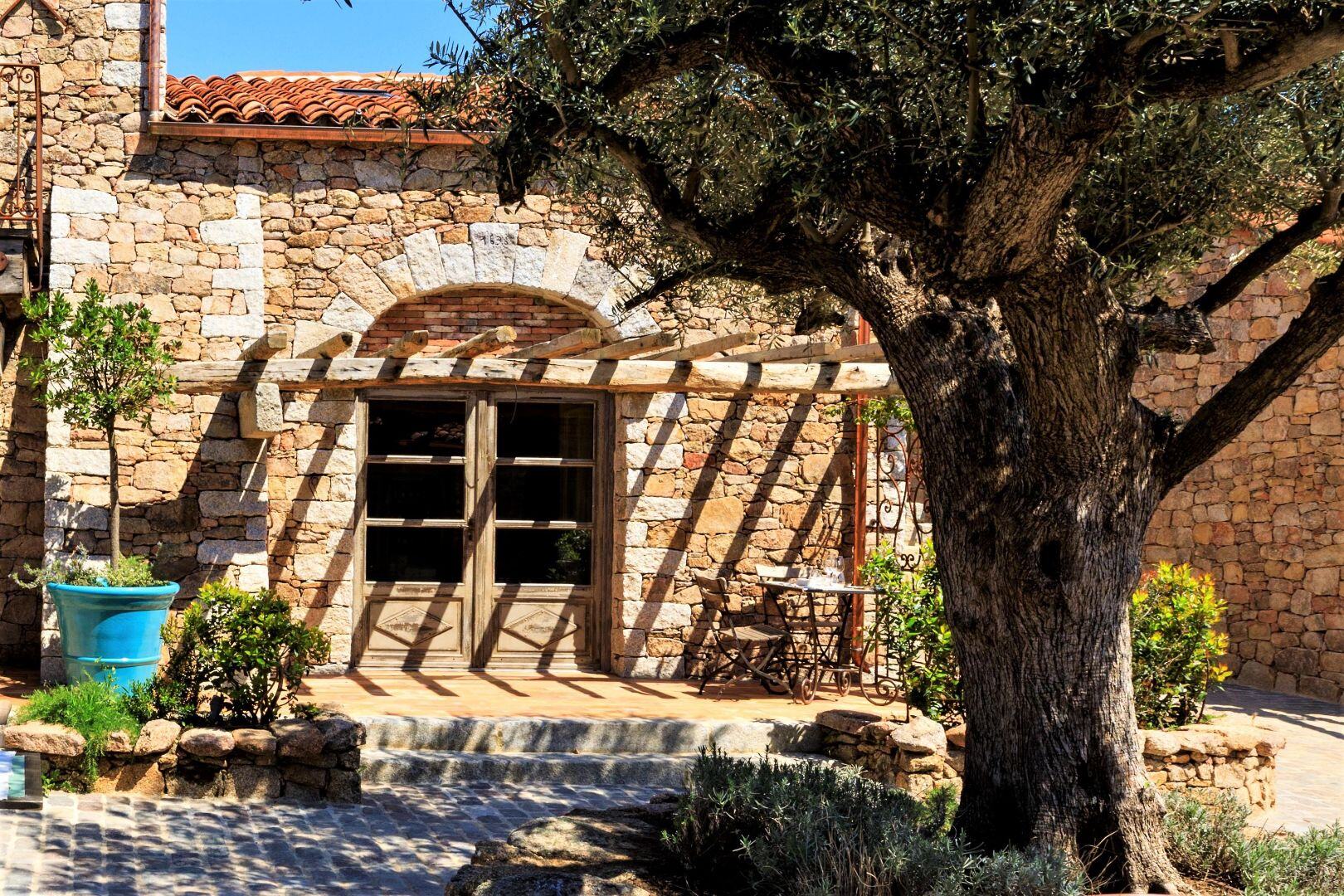 domain-de-murtoli-frankreich-familienluxusreisen-terrasse
