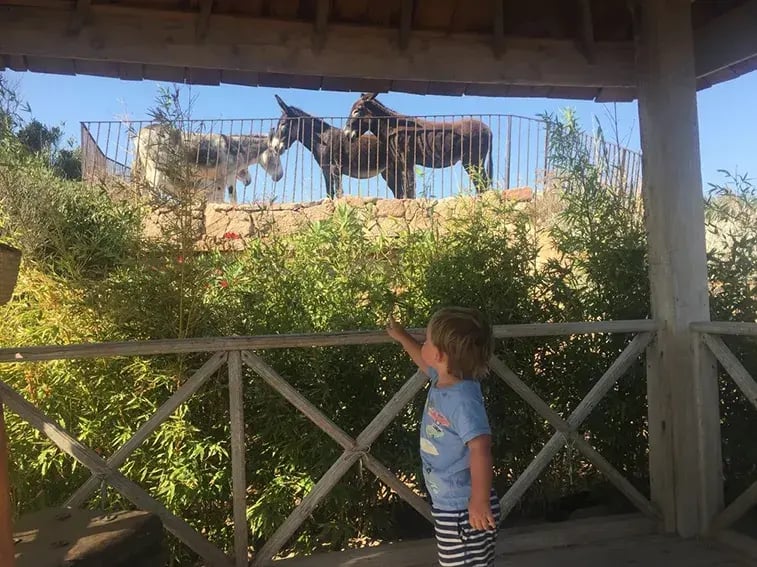hotel u capu biancu korsika frankreich schlafzimmer privatbilder kinder essel