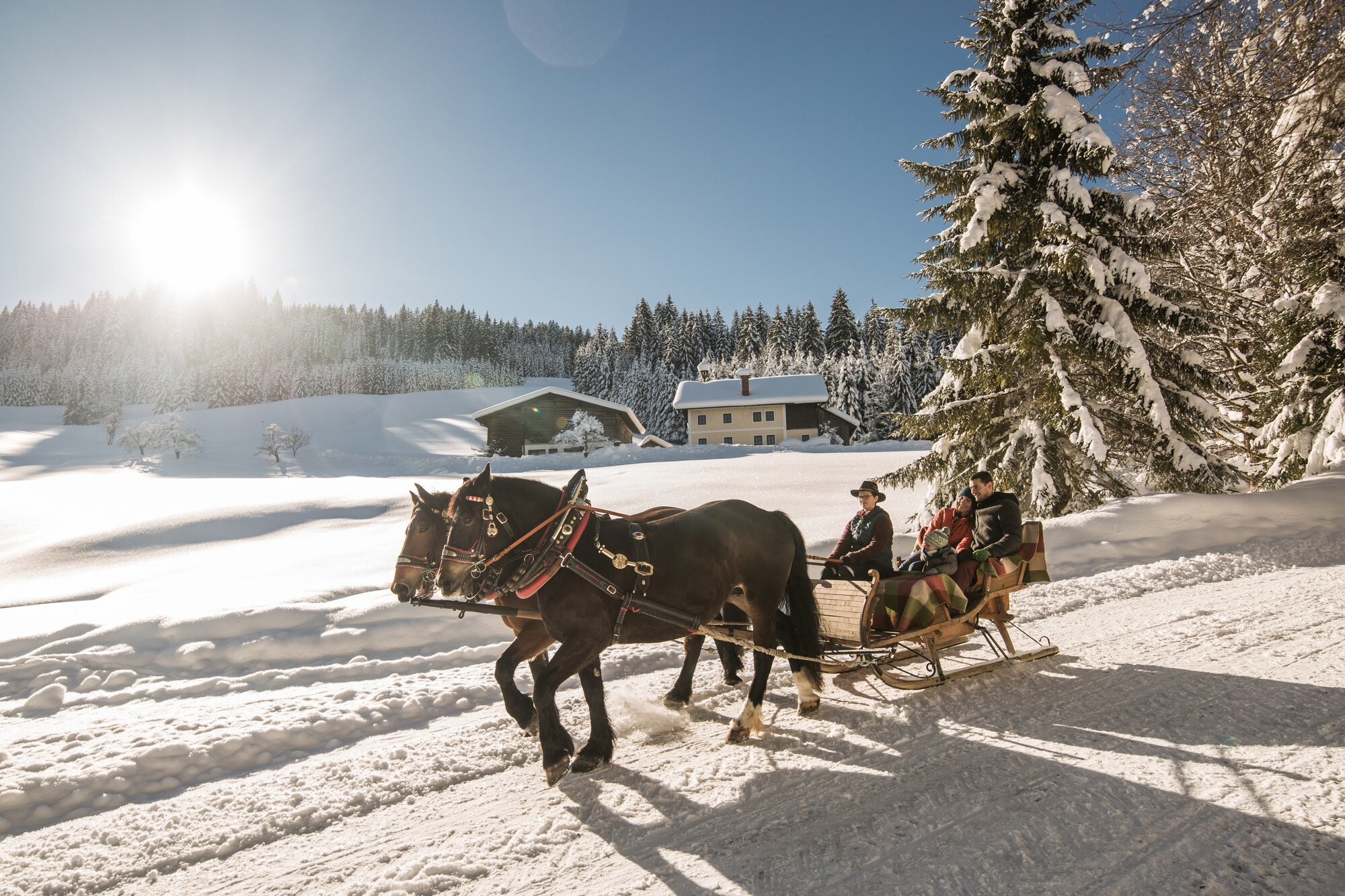Bergdorf-Prechtlgut-Wagrain-Familienluxusreisen-Pferdekutsche