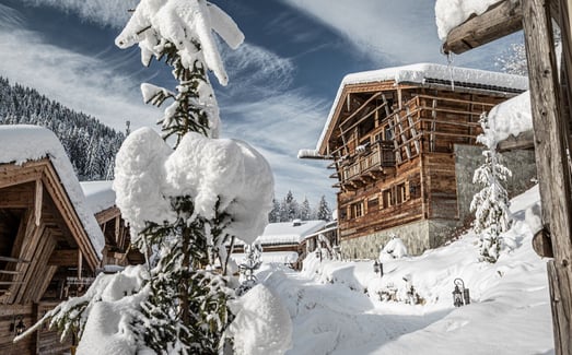 Prechtlgut verschneite Hütte 1