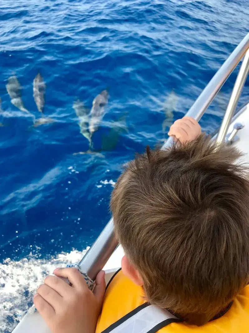 como maalifushi malediven luxus urlaub privatbilder meer delfine