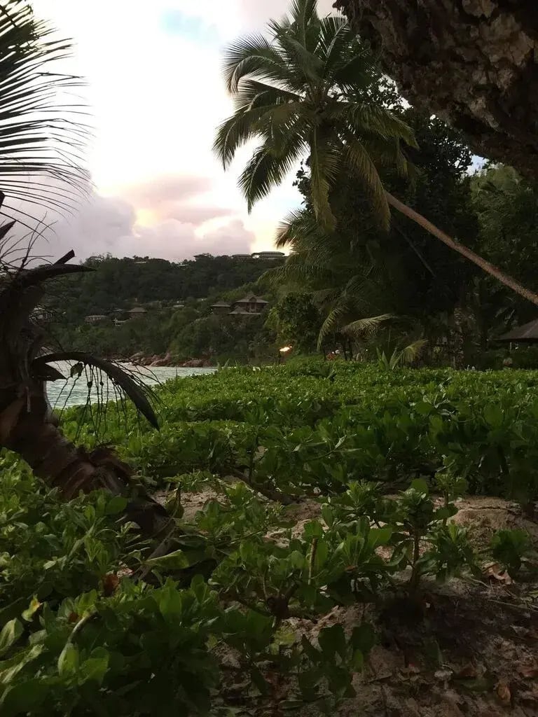 four seasons seychelles p6