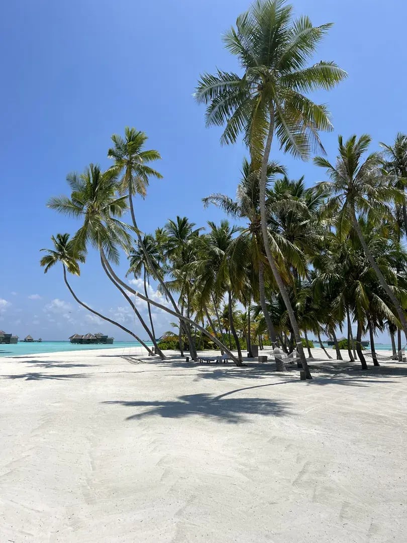 gili lankafushi p44