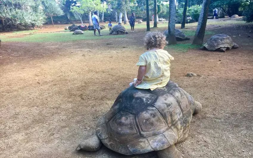 st regis mauritius zoo park little voyager