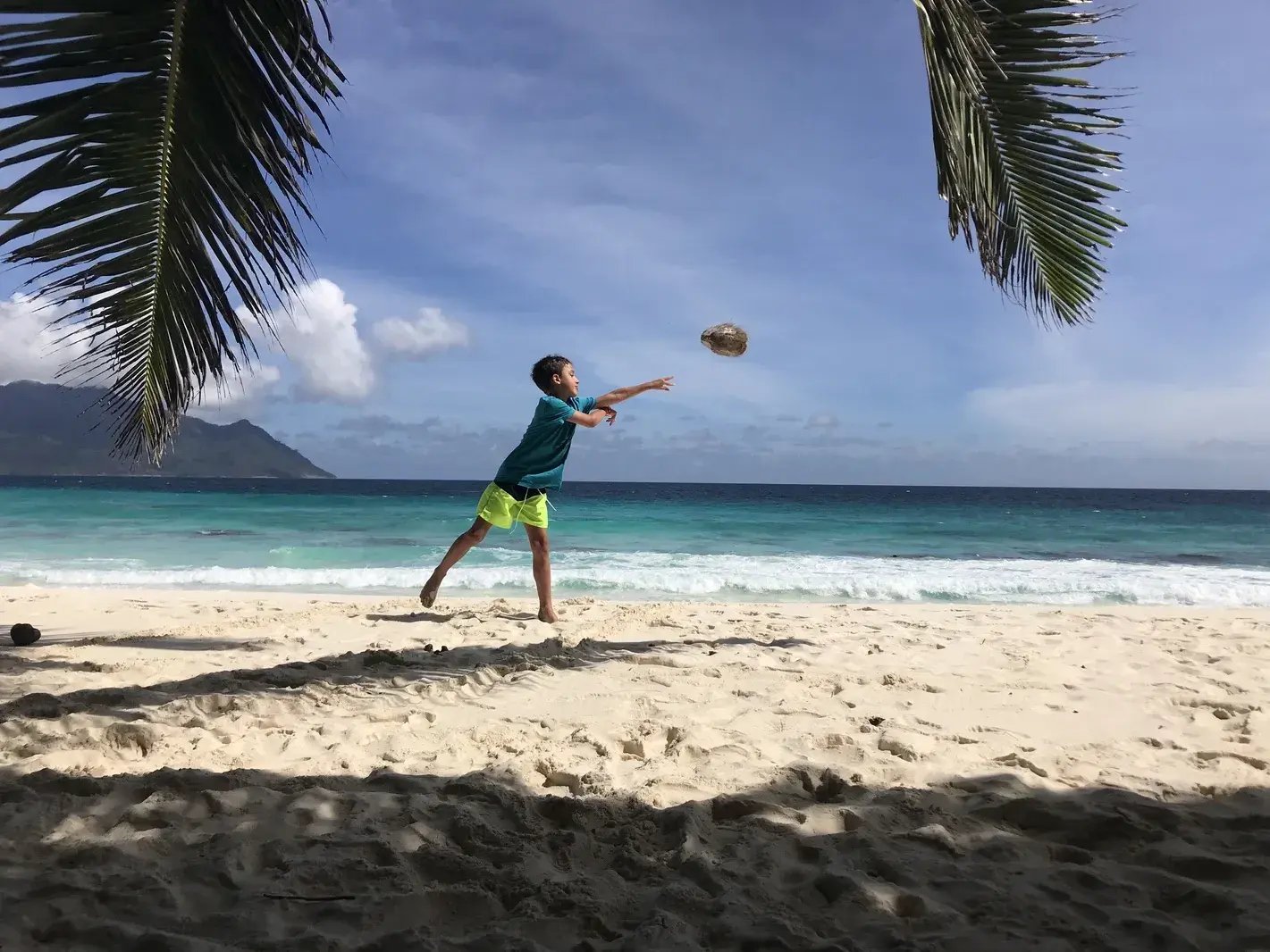 north-island-p31