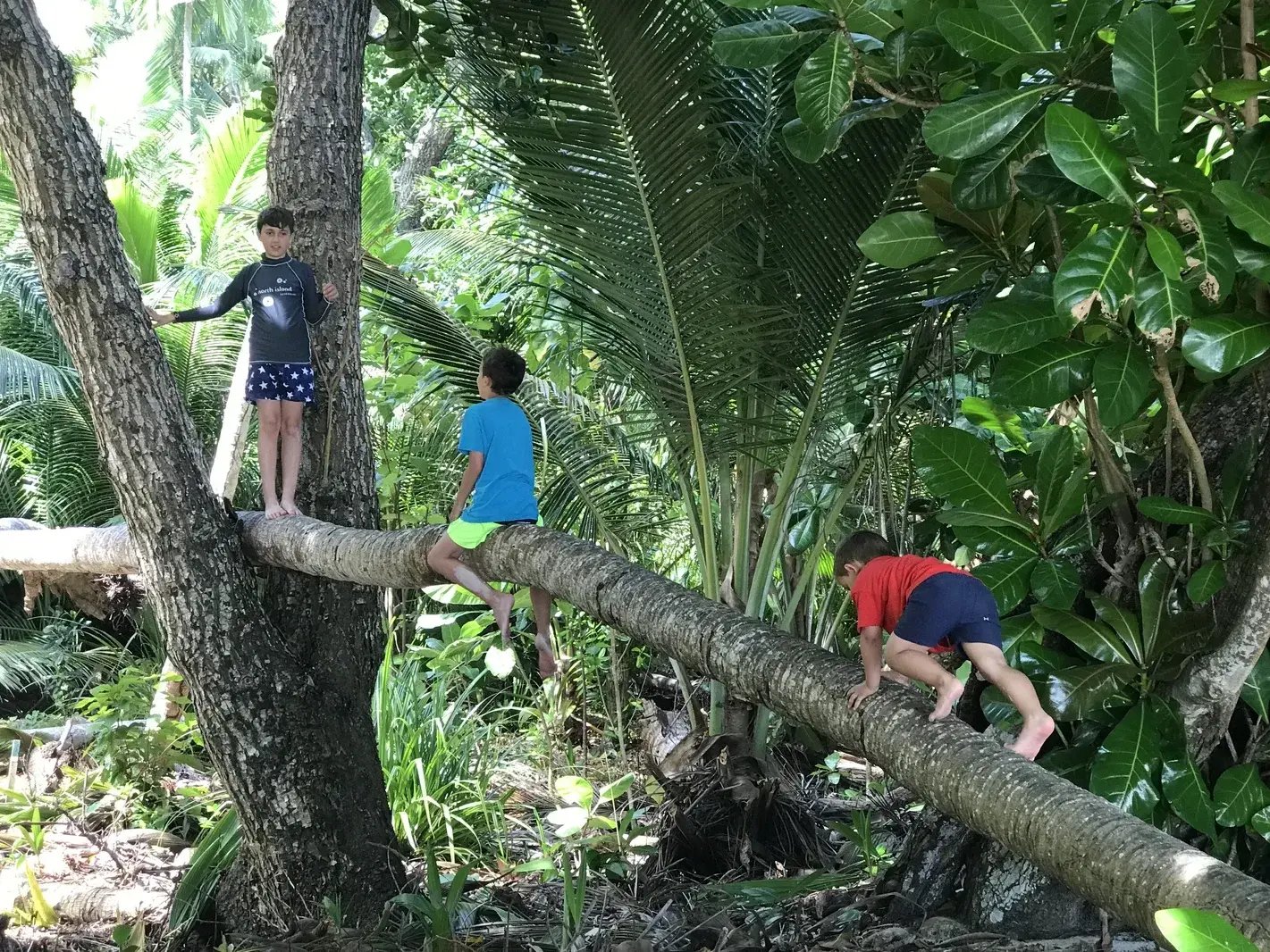 north island p33