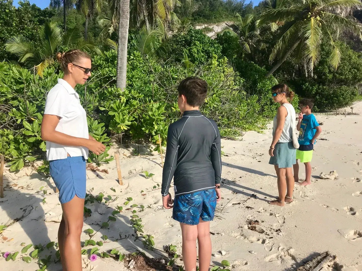 north-island-p6