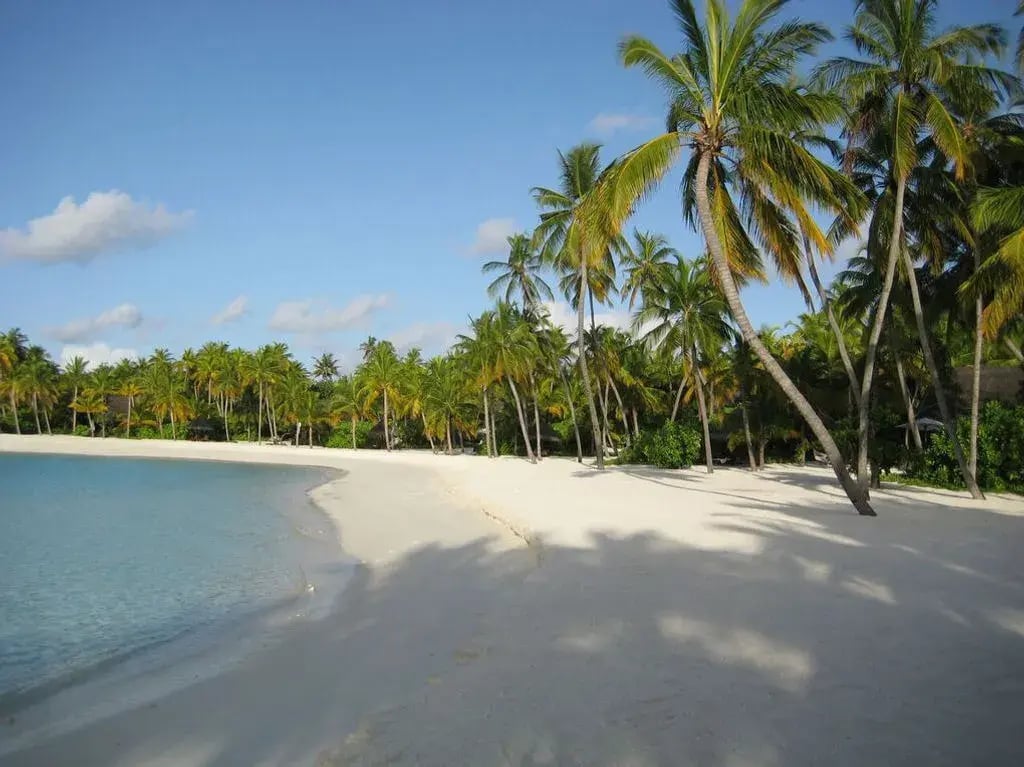 one only reethi rah p10