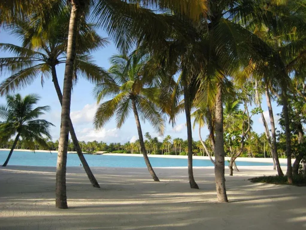 one only reethi rah p8