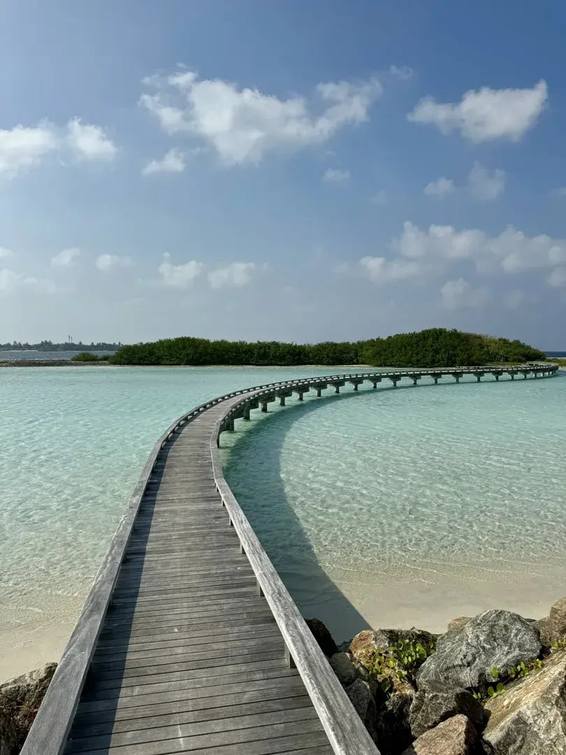 patina maldives p22