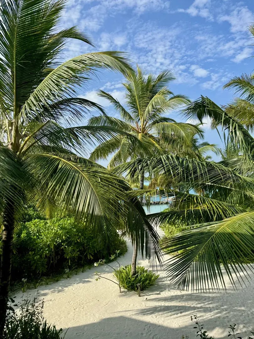 patina maldives p6