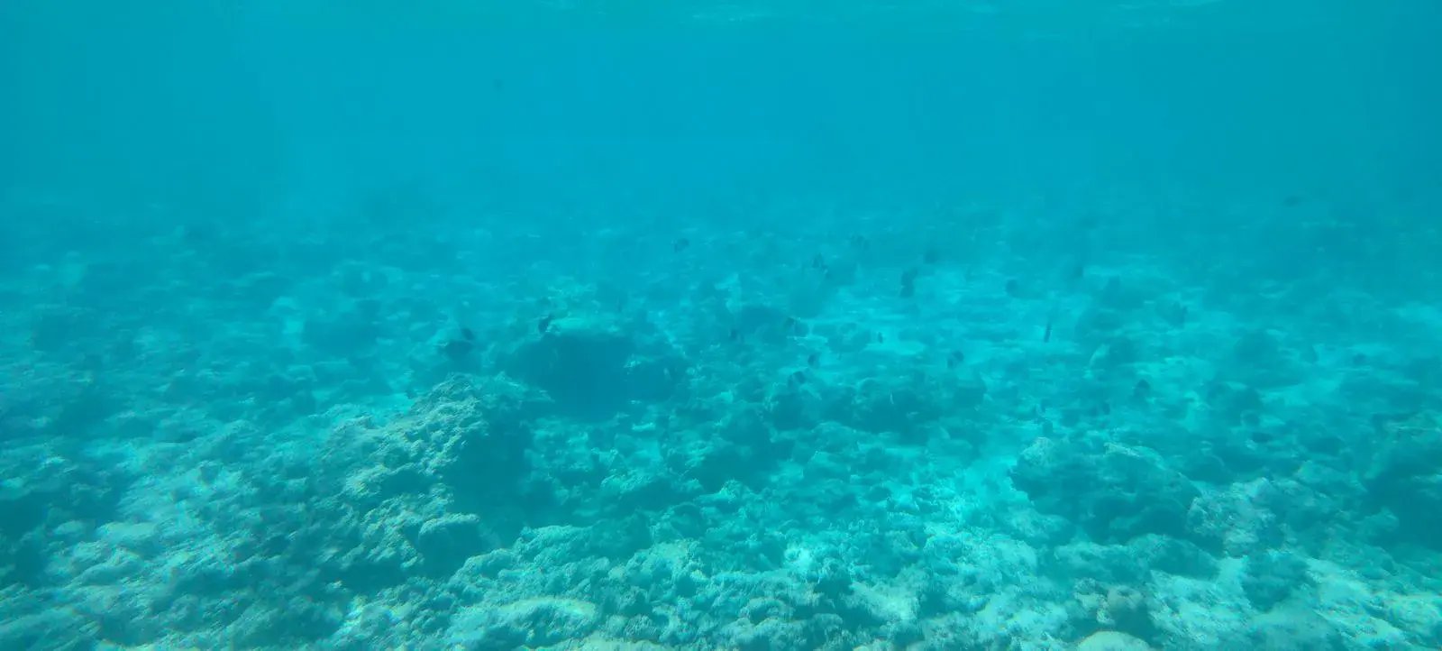 seaside finolhu privat17