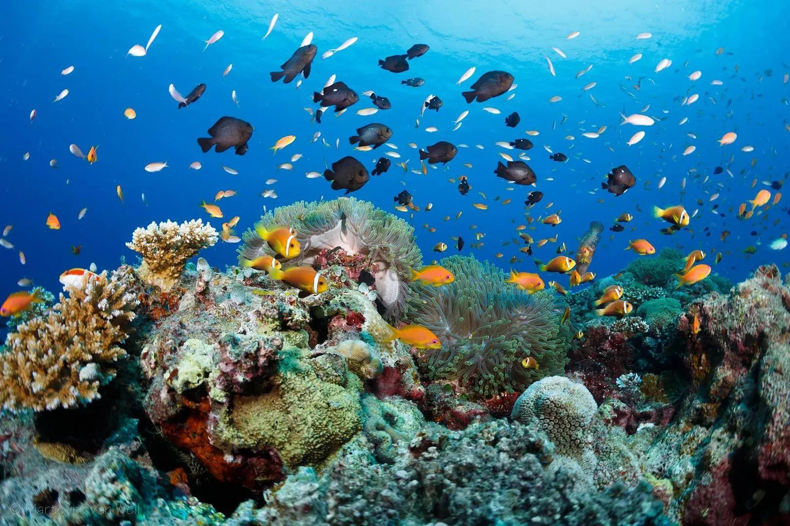 six senses laamu malediven schnorcheln familienerlebnis kinderfreundlich exklusiv