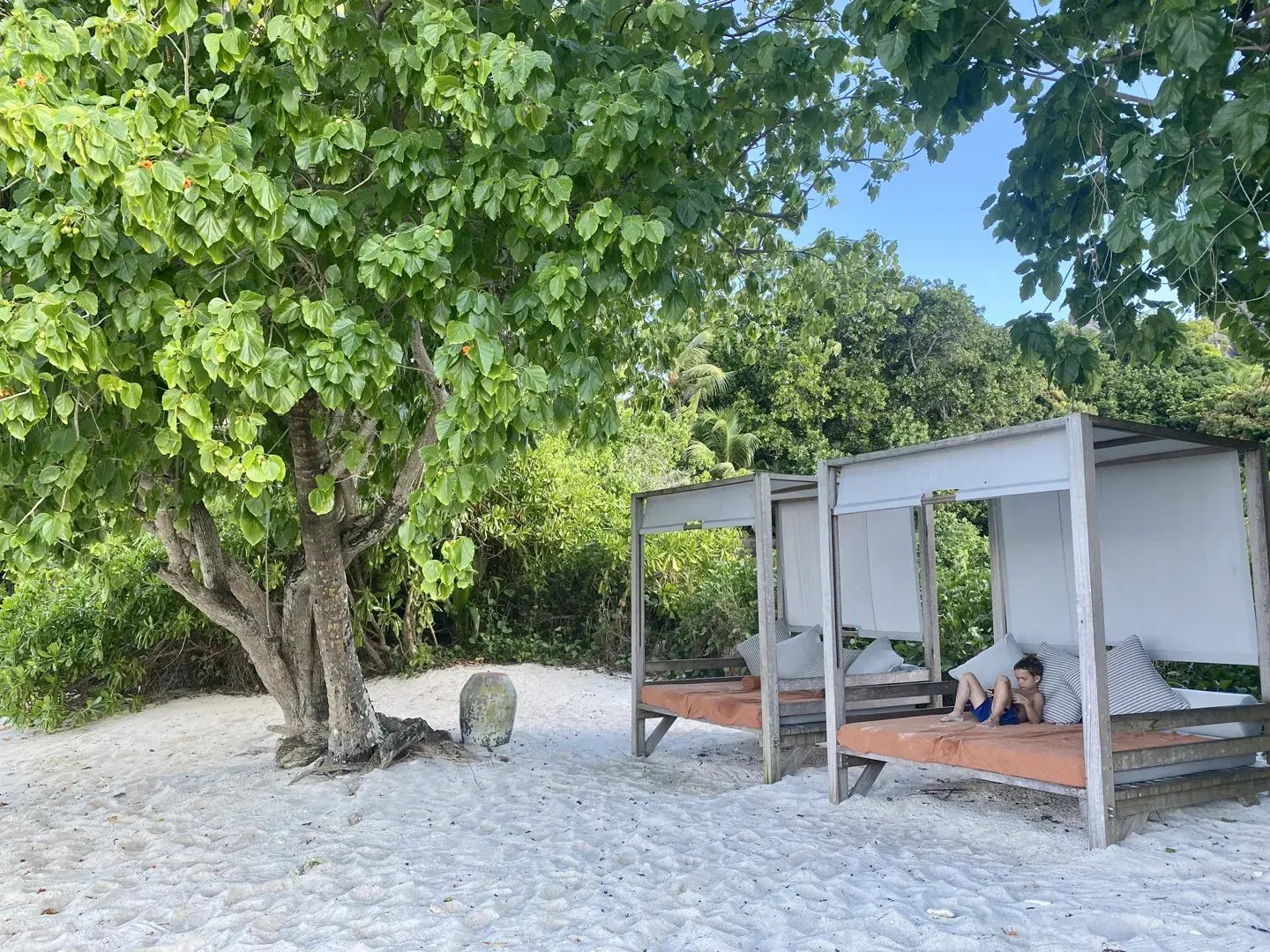 six senses zil pasyon p40