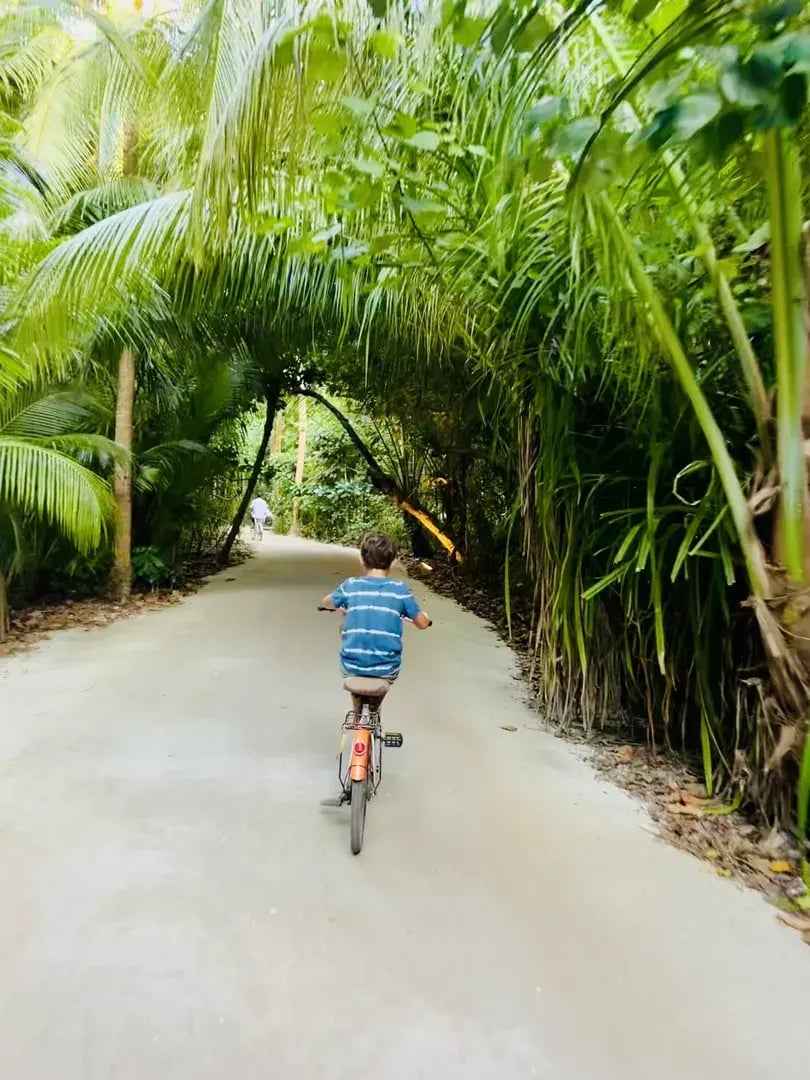 soneva fushi p33