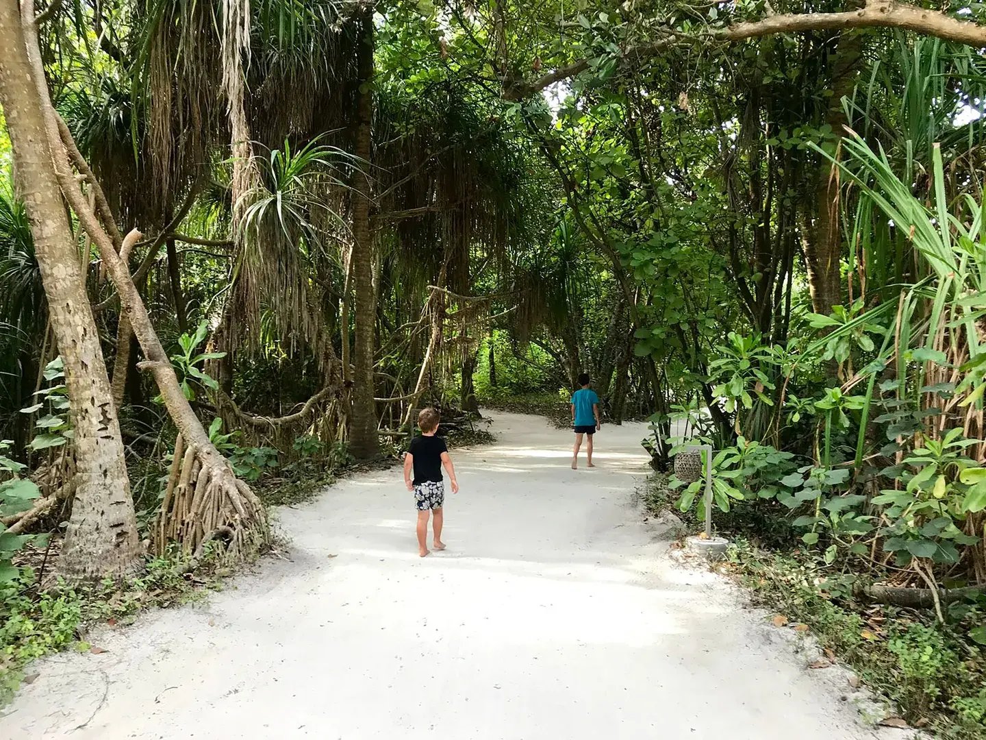 vakkaru maldives4