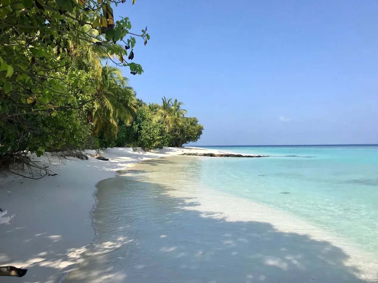 vakkaru maldives8