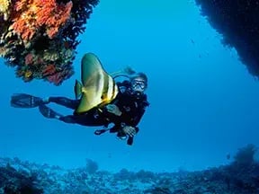 velaa private island malediven schnorcheln familienspass kinderfreundlich