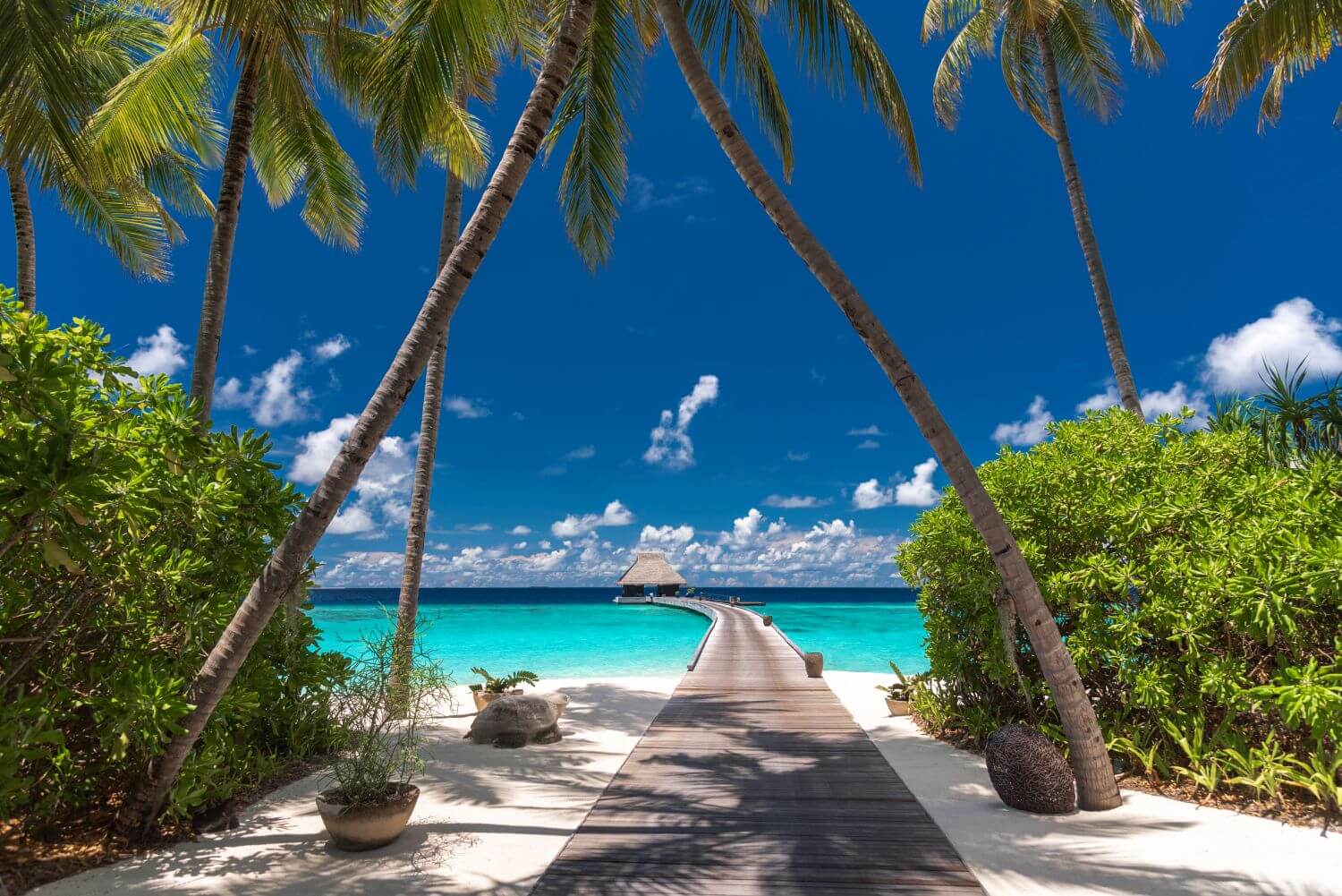 velaa private island maldives jetty