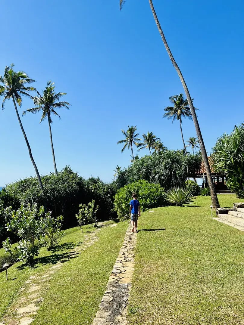 cape weligama p23