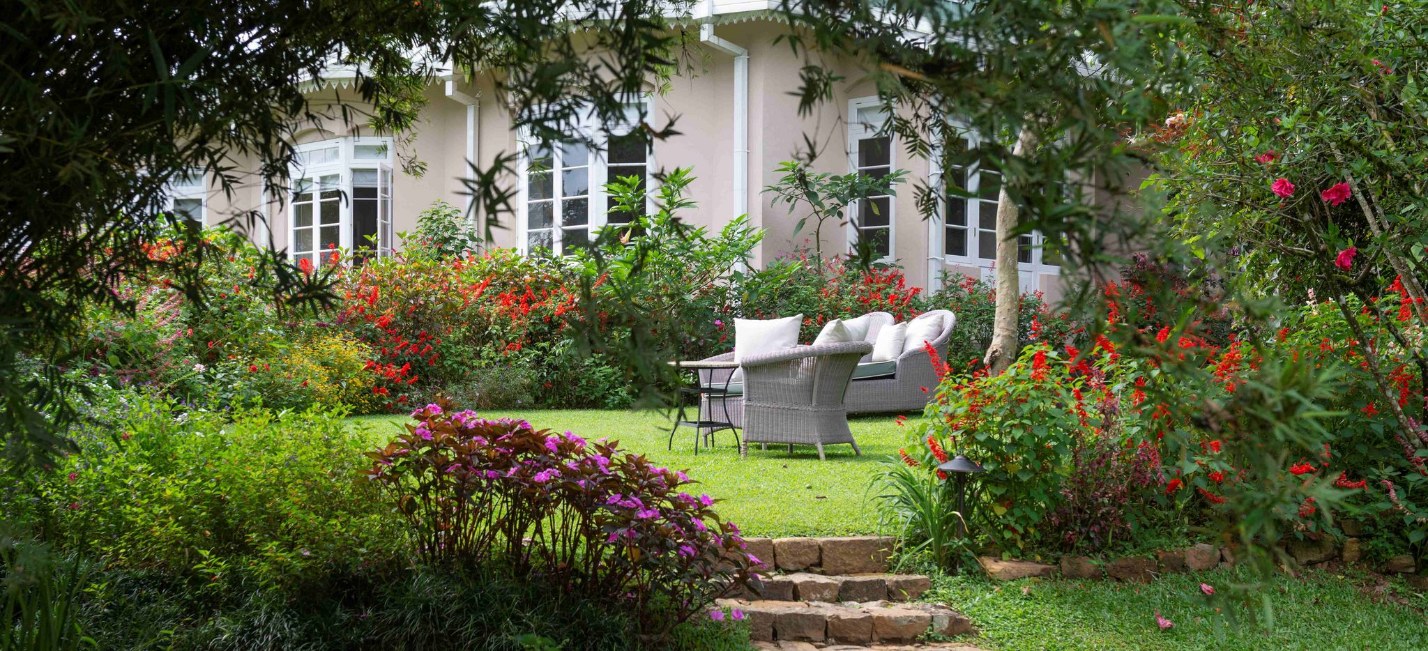 Ceylon Tea Trails Flowers Garden